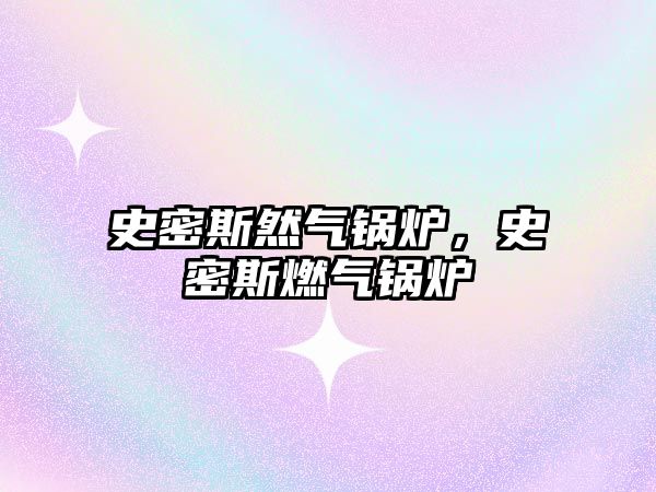 史密斯然氣鍋爐，史密斯燃?xì)忮仩t