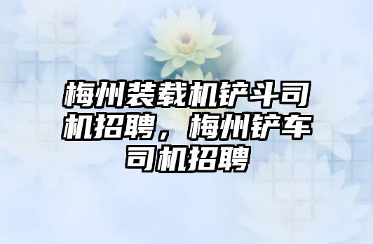 梅州裝載機鏟斗司機招聘，梅州鏟車司機招聘