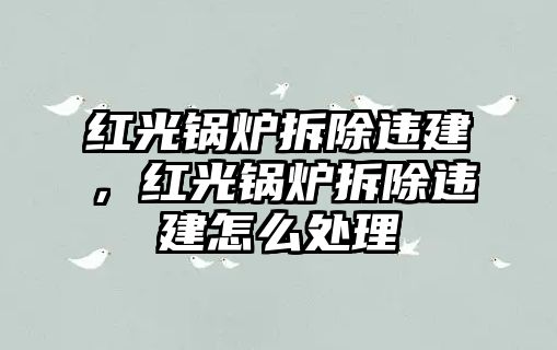 紅光鍋爐拆除違建，紅光鍋爐拆除違建怎么處理