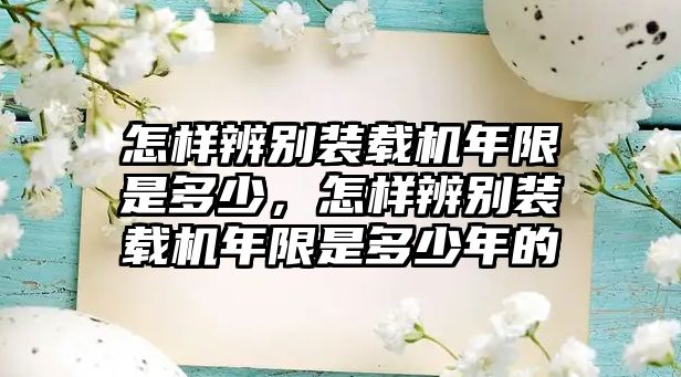 怎樣辨別裝載機(jī)年限是多少，怎樣辨別裝載機(jī)年限是多少年的