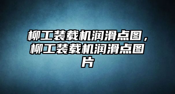 柳工裝載機潤滑點圖，柳工裝載機潤滑點圖片