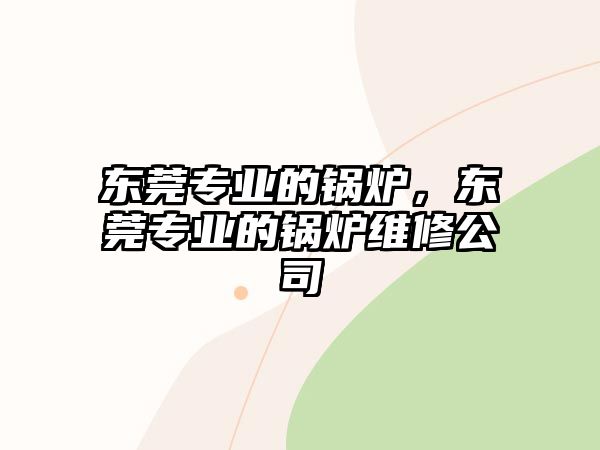 東莞專業(yè)的鍋爐，東莞專業(yè)的鍋爐維修公司