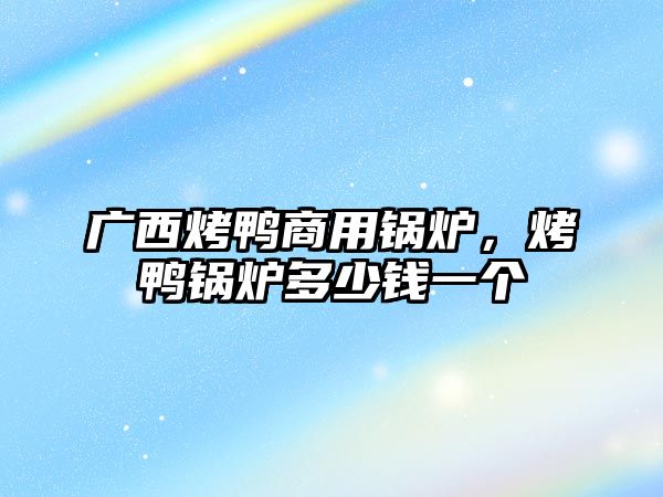 廣西烤鴨商用鍋爐，烤鴨鍋爐多少錢一個(gè)