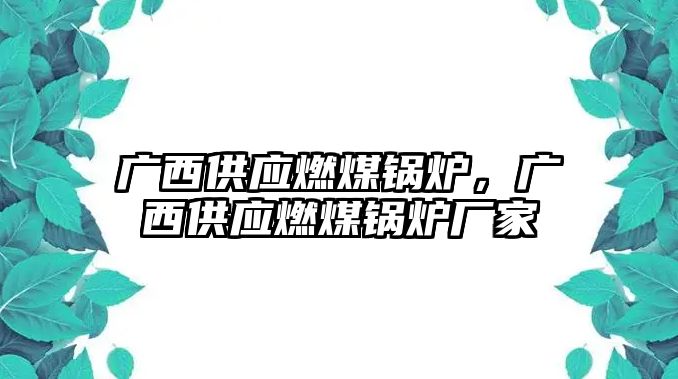 廣西供應(yīng)燃煤鍋爐，廣西供應(yīng)燃煤鍋爐廠家