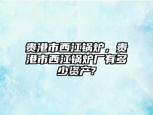 貴港市西江鍋爐，貴港市西江鍋爐廠有多少資產(chǎn)?