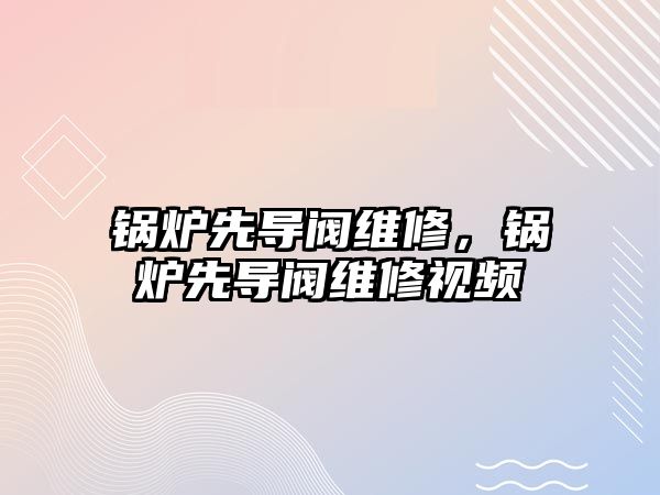 鍋爐先導閥維修，鍋爐先導閥維修視頻