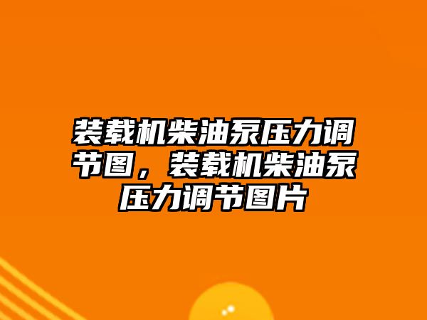 裝載機(jī)柴油泵壓力調(diào)節(jié)圖，裝載機(jī)柴油泵壓力調(diào)節(jié)圖片