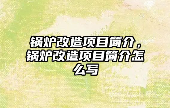 鍋爐改造項目簡介，鍋爐改造項目簡介怎么寫