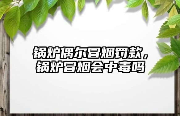 鍋爐偶爾冒煙罰款，鍋爐冒煙會(huì)中毒嗎