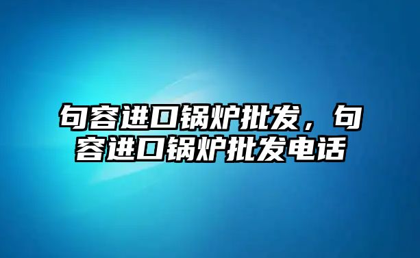 句容進口鍋爐批發(fā)，句容進口鍋爐批發(fā)電話