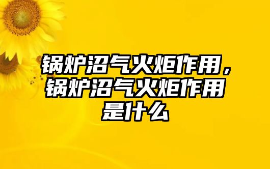 鍋爐沼氣火炬作用，鍋爐沼氣火炬作用是什么