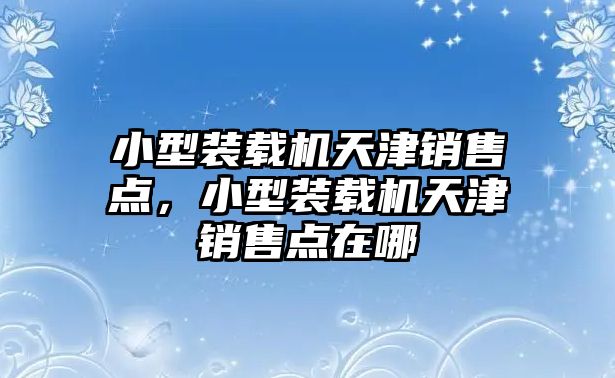 小型裝載機天津銷售點，小型裝載機天津銷售點在哪