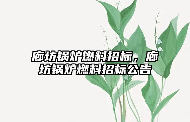 廊坊鍋爐燃料招標，廊坊鍋爐燃料招標公告