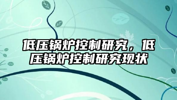 低壓鍋爐控制研究，低壓鍋爐控制研究現(xiàn)狀