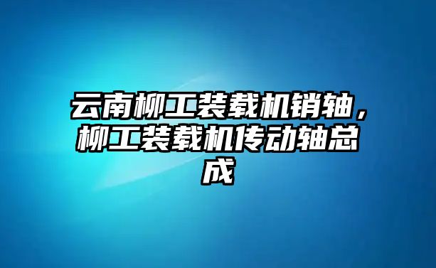 云南柳工裝載機銷軸，柳工裝載機傳動軸總成