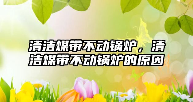 清潔煤帶不動(dòng)鍋爐，清潔煤帶不動(dòng)鍋爐的原因