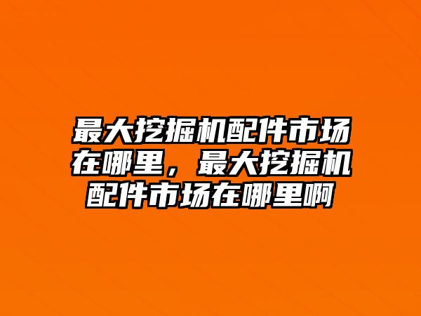 最大挖掘機(jī)配件市場在哪里，最大挖掘機(jī)配件市場在哪里啊